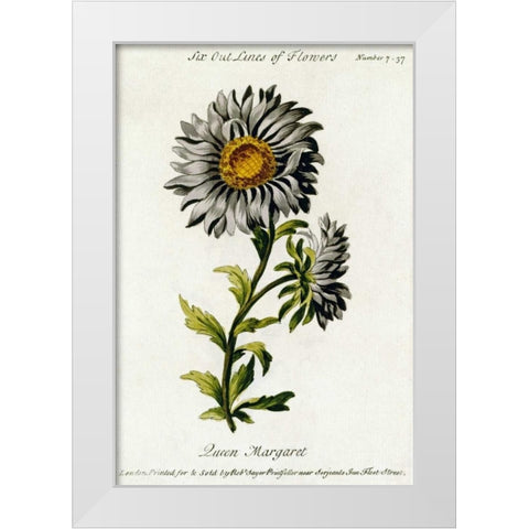 Queen Margaret White Modern Wood Framed Art Print by Parkinson, Thomas