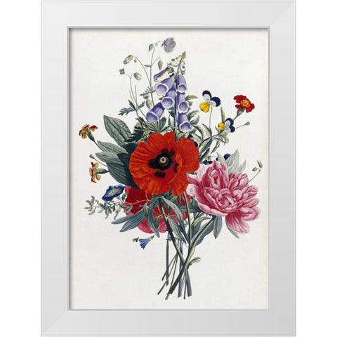 Collection Des Fleurs Et Des Fruits White Modern Wood Framed Art Print by Prevost, Jean-Louis