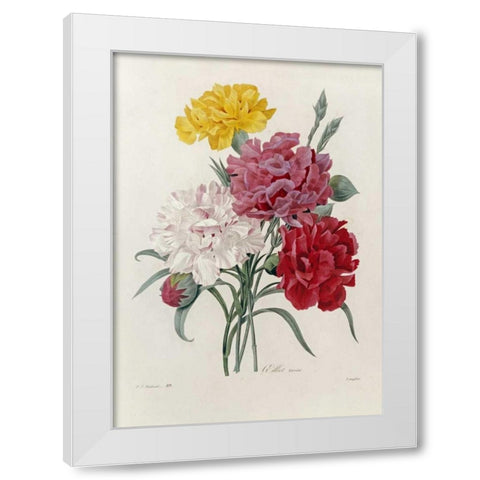 Carnations White Modern Wood Framed Art Print by Redoute, Pierre Joseph