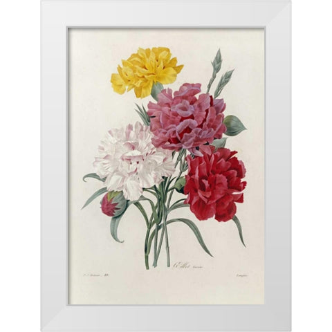 Carnations White Modern Wood Framed Art Print by Redoute, Pierre Joseph