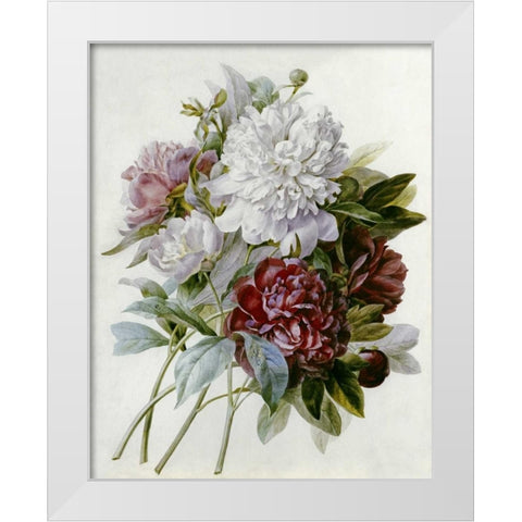 A Bouquet of Red, Pink and White Peonies White Modern Wood Framed Art Print by Redoute, Pierre Joseph