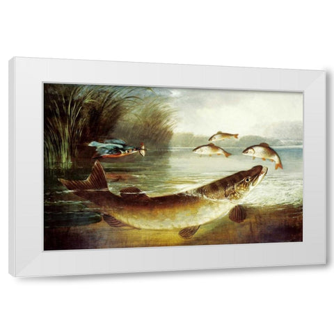 A Kingfisher and a Pike Capturing Perch White Modern Wood Framed Art Print by Rolfe, Henry Leonidas