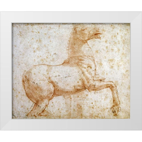 Study of One of The Quirinal Marble Horses White Modern Wood Framed Art Print by Raphael