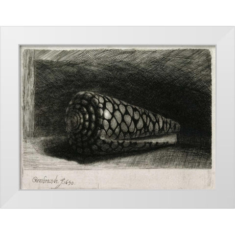 The Shell - Conus Marmoreus White Modern Wood Framed Art Print by Van Rijn, Rembrandt