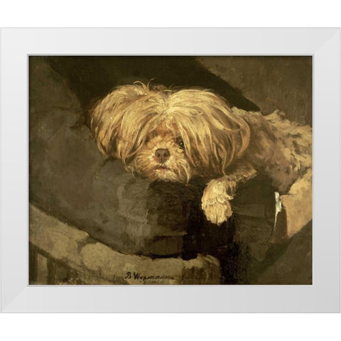 Resting White Modern Wood Framed Art Print by Wegmann, Bertha