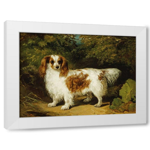 A Blenheim Cavalier King Charles Spaniel White Modern Wood Framed Art Print by Willis, H.