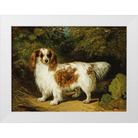 A Blenheim Cavalier King Charles Spaniel White Modern Wood Framed Art Print by Willis, H.