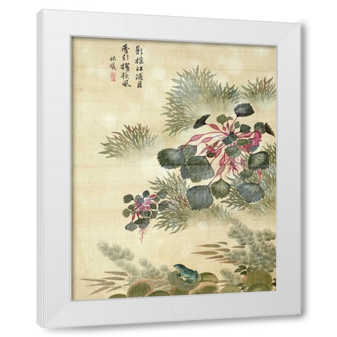 Water Caktrios and Frog White Modern Wood Framed Art Print by Yuanyu, Ma