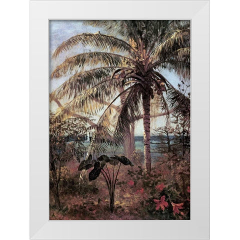Palm Tree, Nassau White Modern Wood Framed Art Print by Bierstadt, Albert