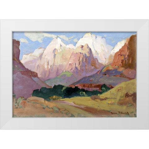 Grand Tetons White Modern Wood Framed Art Print by Bischoff, Franz