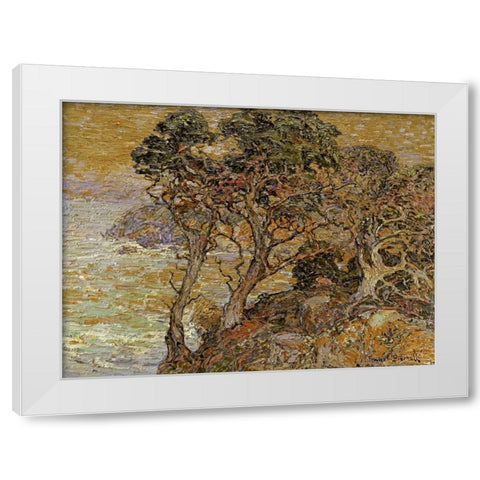 Point Lobos, Monterey Coast White Modern Wood Framed Art Print by Bischoff, Franz