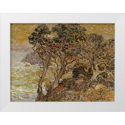 Point Lobos, Monterey Coast White Modern Wood Framed Art Print by Bischoff, Franz