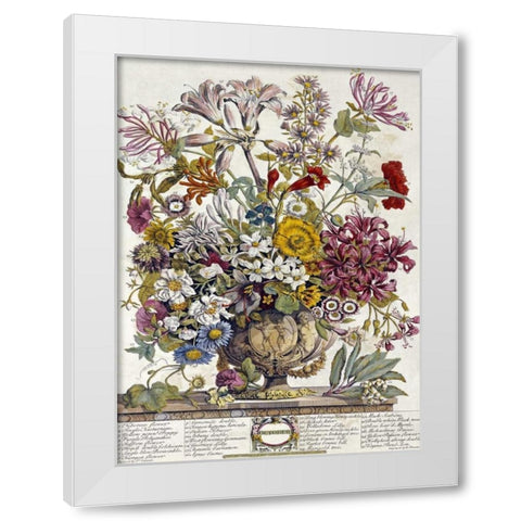October - Twelve Months of Flowers White Modern Wood Framed Art Print by Furber, Robert