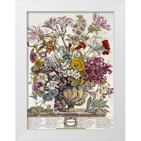 October - Twelve Months of Flowers White Modern Wood Framed Art Print by Furber, Robert