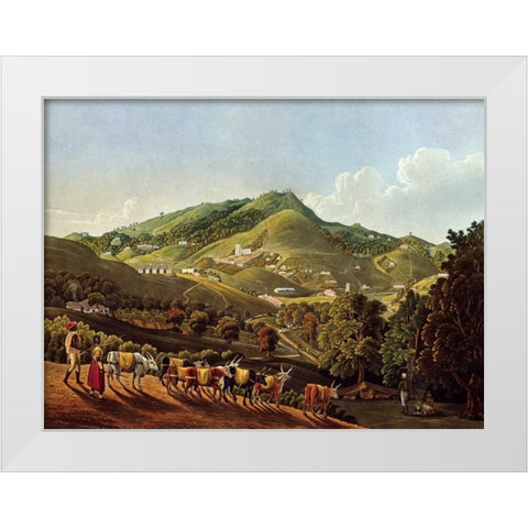 Views In India White Modern Wood Framed Art Print by Havell, Richard