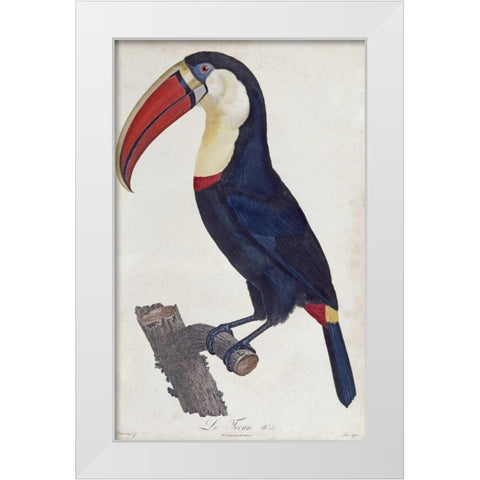 Toucan White Modern Wood Framed Art Print by Levaillant, Francois