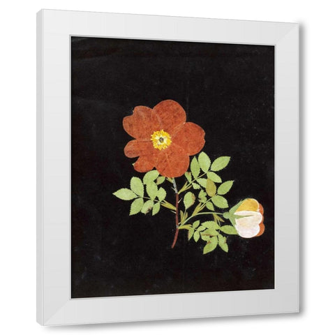 Cut Out Watercolour of a Flower White Modern Wood Framed Art Print by Nash, Margaret