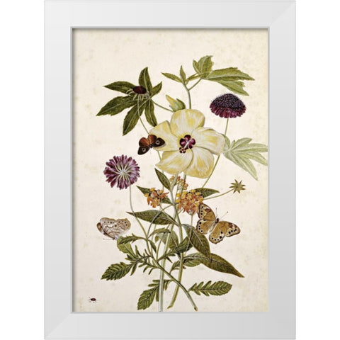 Milkweed, Poppy and Hibiscus White Modern Wood Framed Art Print by Robins, Thomas Jr.