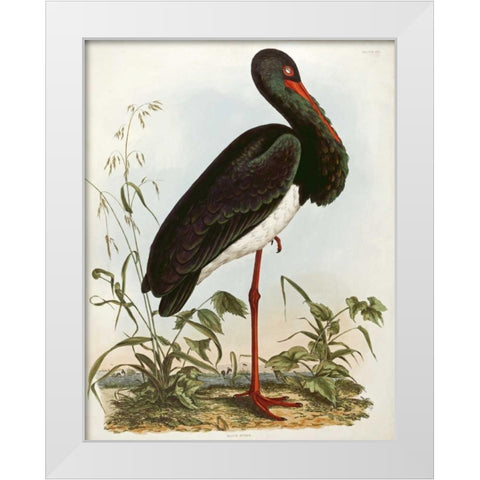 Black Stork White Modern Wood Framed Art Print by Selby, John Prideaux