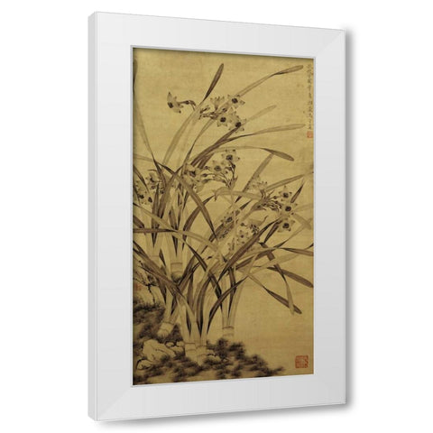 Narcissus White Modern Wood Framed Art Print by Shouzhen, Ma