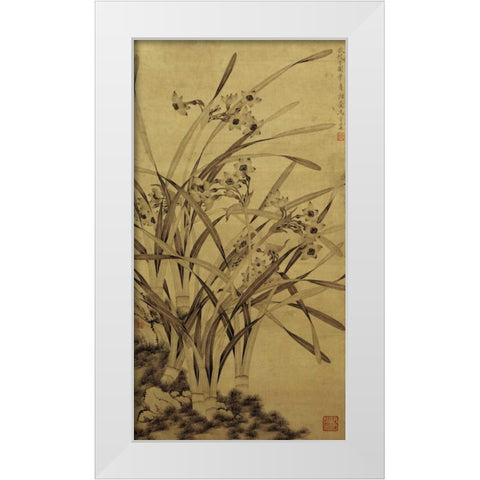 Narcissus White Modern Wood Framed Art Print by Shouzhen, Ma