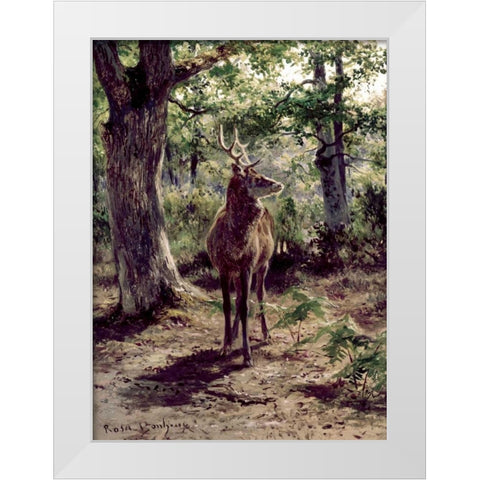 Stag On Alert, In Wooded Clearing White Modern Wood Framed Art Print by Bonheur, Rosa