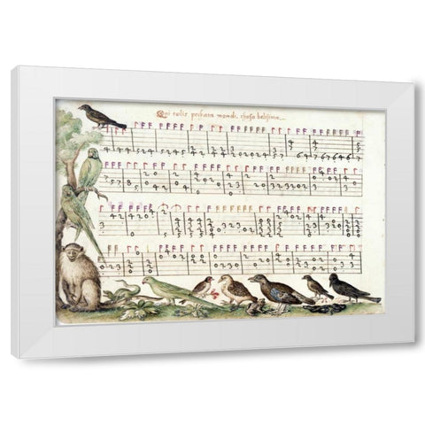 A page from the Capirola Lutebook, c. 1517 White Modern Wood Framed Art Print by Capirola, Vincenzo