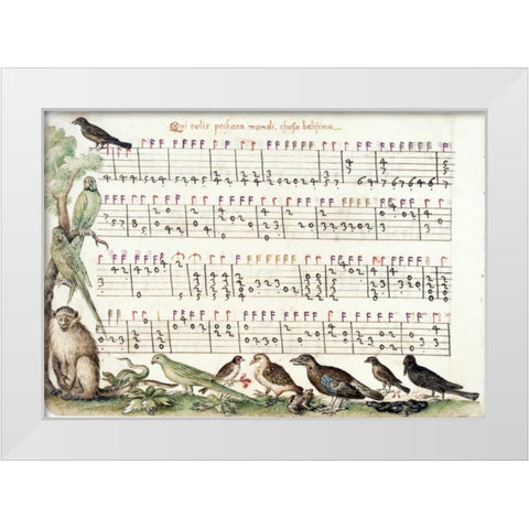 A page from the Capirola Lutebook, c. 1517 White Modern Wood Framed Art Print by Capirola, Vincenzo