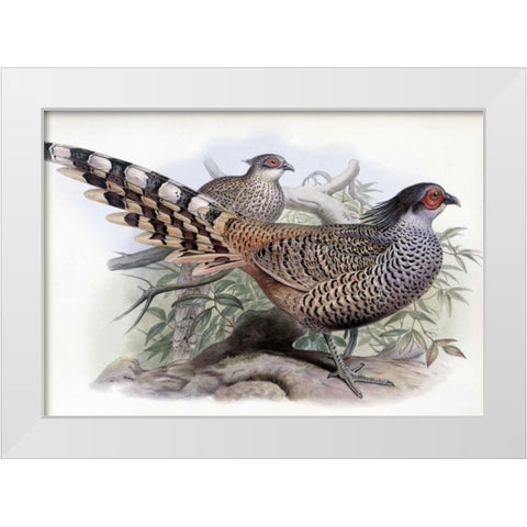 Cheer White Modern Wood Framed Art Print by Glover, John