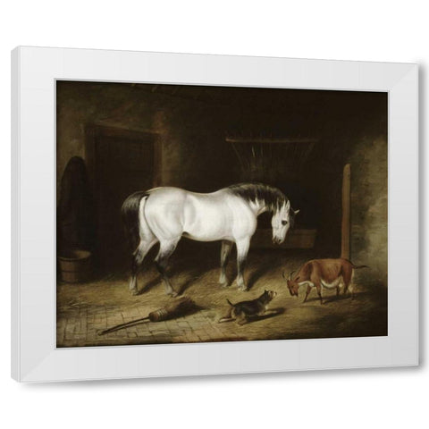 White Horse White Modern Wood Framed Art Print by Herring, John Frederick