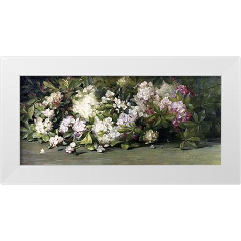 Mountain Laurel White Modern Wood Framed Art Print by Palmer, Adelaide Coburne