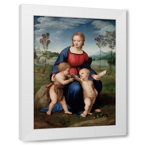 Madonna of The Goldfinch White Modern Wood Framed Art Print by Raphael