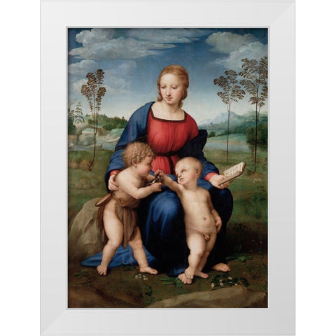 Madonna of The Goldfinch White Modern Wood Framed Art Print by Raphael