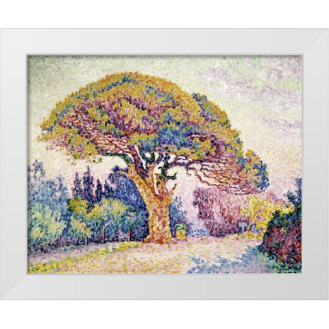 Pine Tree In St. Tropez White Modern Wood Framed Art Print by Signac, Paul