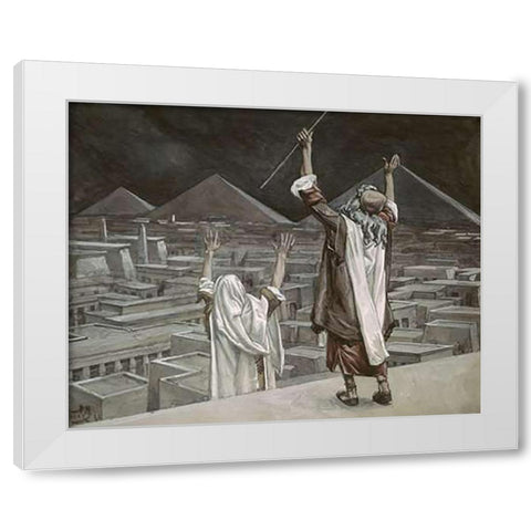 Plague of Locusts White Modern Wood Framed Art Print by Tissot, James