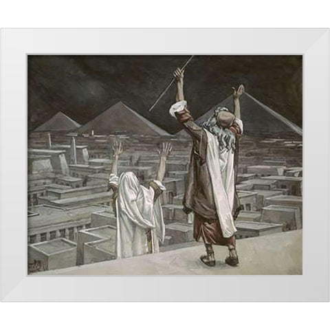 Plague of Locusts White Modern Wood Framed Art Print by Tissot, James
