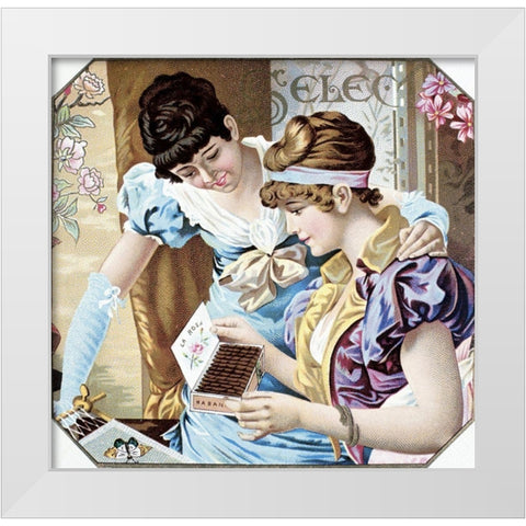 La Rosa White Modern Wood Framed Art Print by Unknown