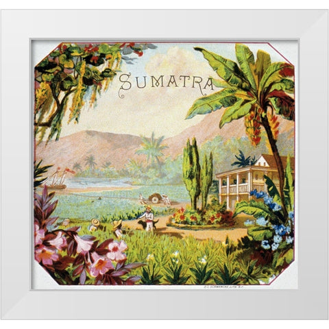 Sumatra White Modern Wood Framed Art Print by Unknown