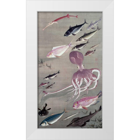 Under Water Life White Modern Wood Framed Art Print by Unknown