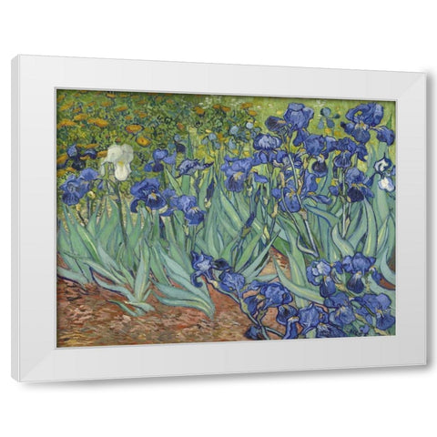 Irises, 1889 White Modern Wood Framed Art Print by Van Gogh, Vincent
