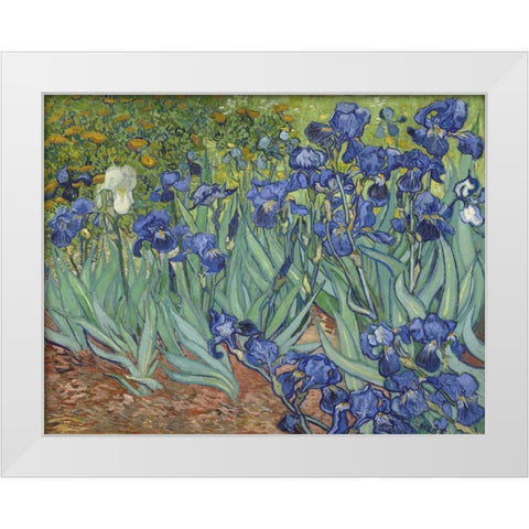 Irises, 1889 White Modern Wood Framed Art Print by Van Gogh, Vincent