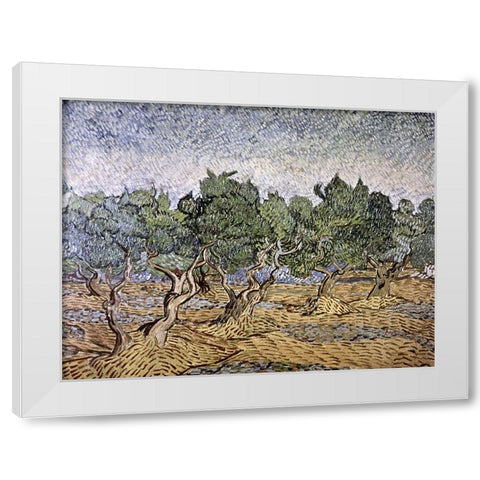 Olive Orchard, Violet Soil White Modern Wood Framed Art Print by Van Gogh, Vincent