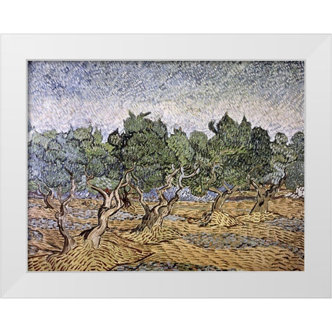Olive Orchard, Violet Soil White Modern Wood Framed Art Print by Van Gogh, Vincent
