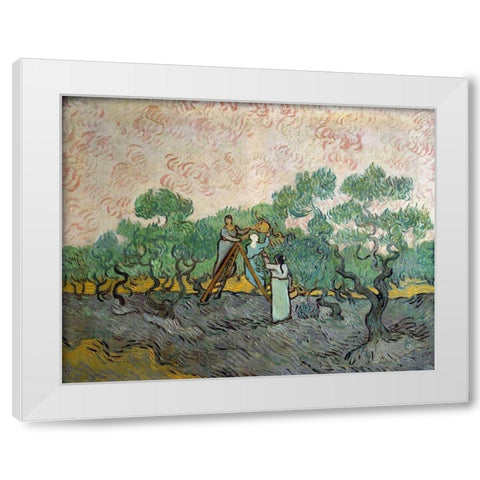 Women Picking Olives White Modern Wood Framed Art Print by Van Gogh, Vincent