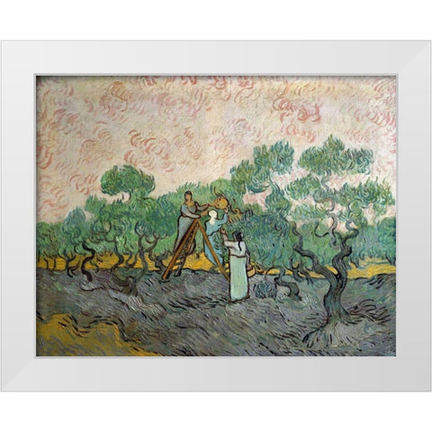 Women Picking Olives White Modern Wood Framed Art Print by Van Gogh, Vincent