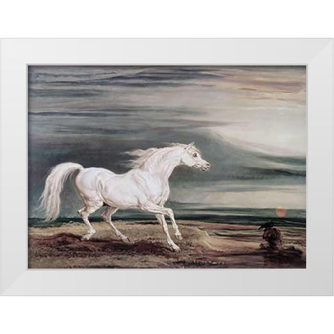 Marengo Barb Charger White Modern Wood Framed Art Print by Ward, James