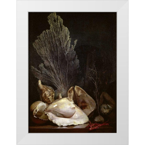 Coquillages et Madreposes White Modern Wood Framed Art Print by Berjon, Antoine