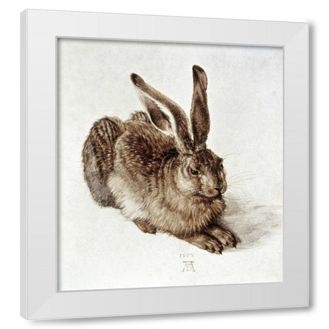 The Young Hare White Modern Wood Framed Art Print by Durer, Albrecht