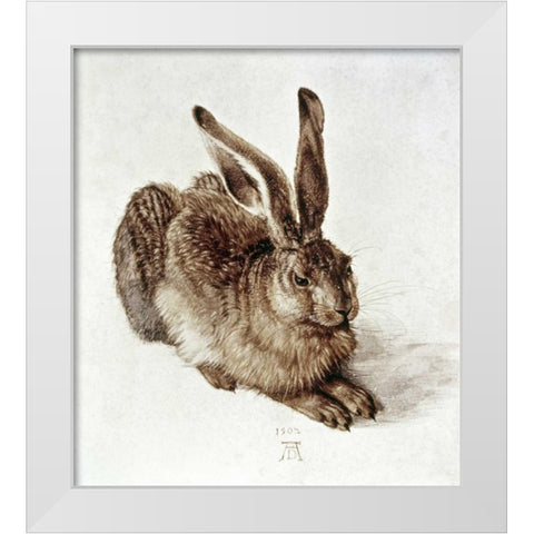 The Young Hare White Modern Wood Framed Art Print by Durer, Albrecht