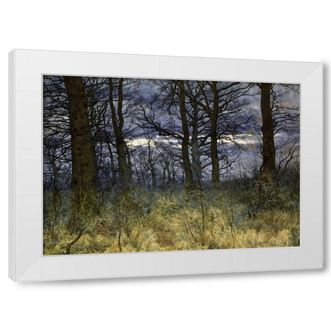 The Woods at Dusk White Modern Wood Framed Art Print by Garden, William Fraser